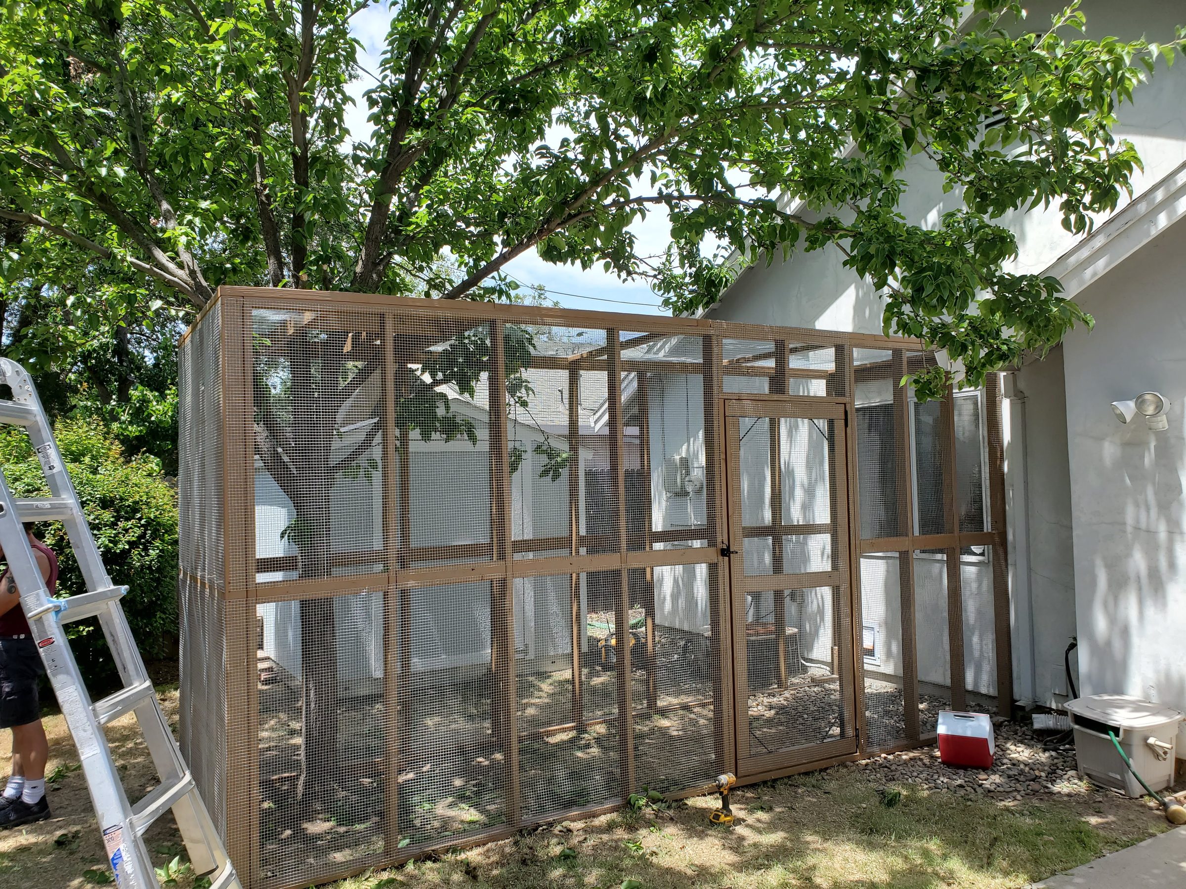 Catio frame under construction beside a shade tree