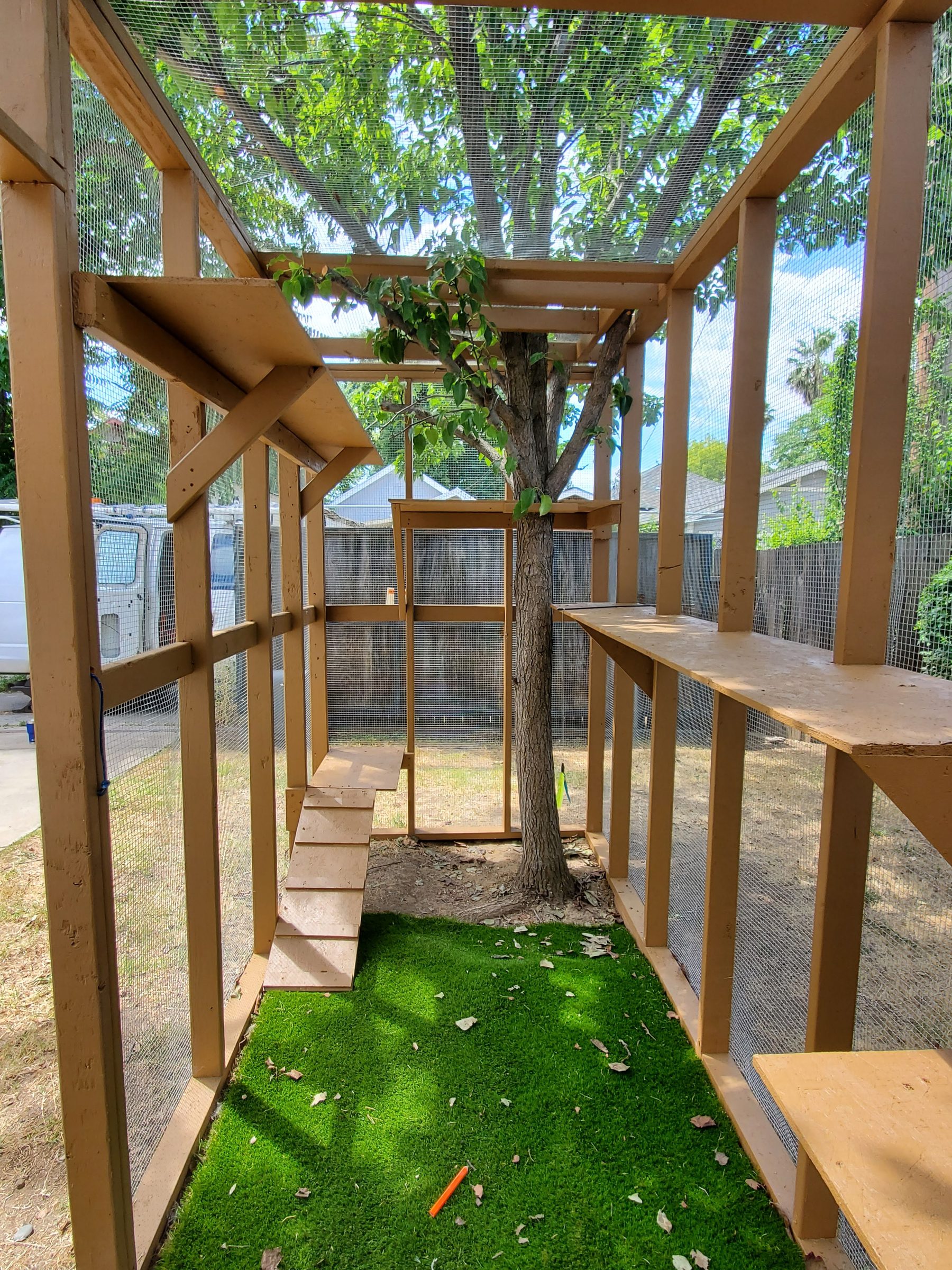 Inside the catio: turf floor and raised walkway shelves