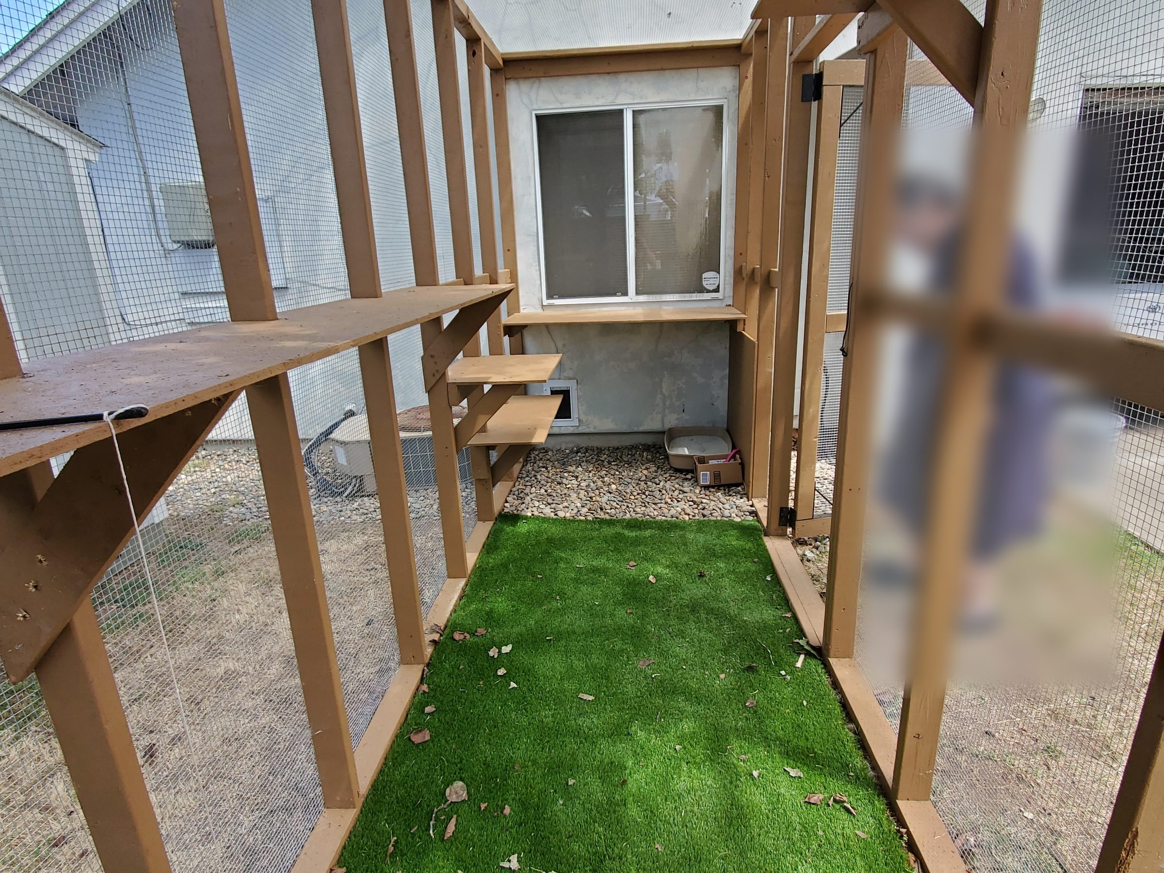 Backyard catio structure