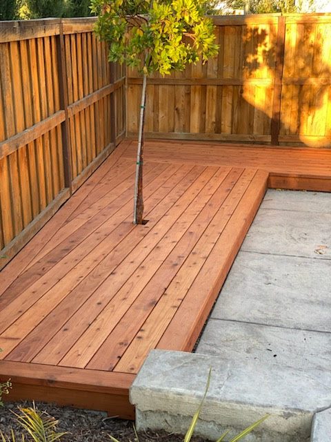Corner of the pool deck around a small tree