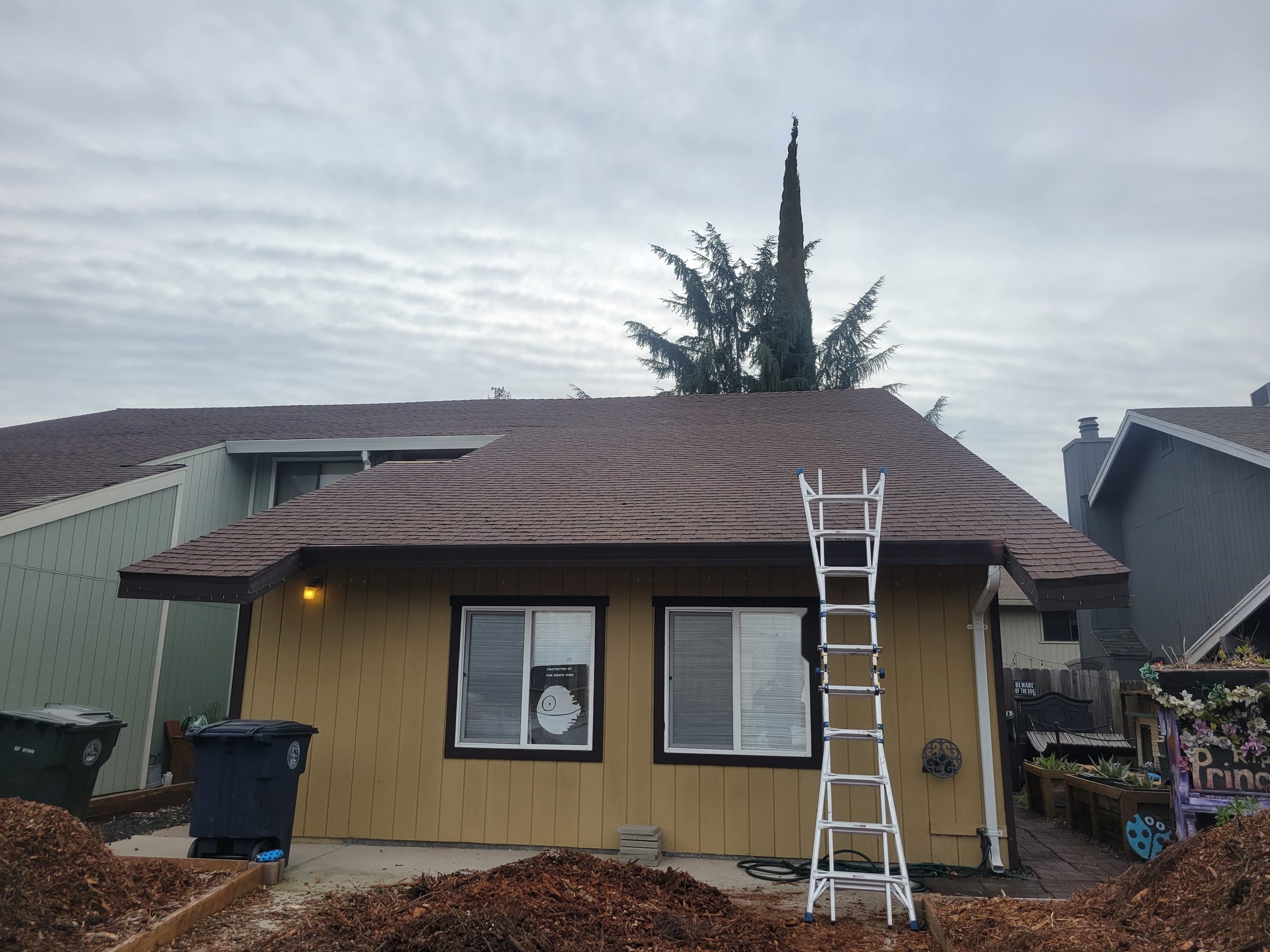 Single-story home with a brown composition shingle roof and ladder at the eave