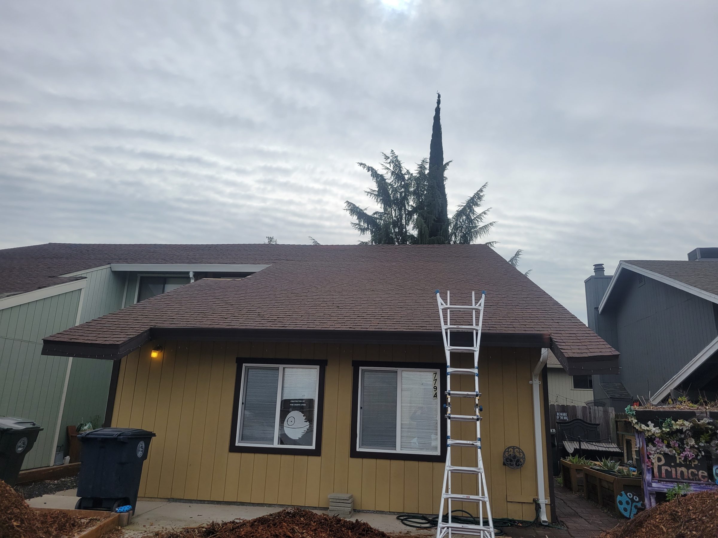 Shingle roof replacement
